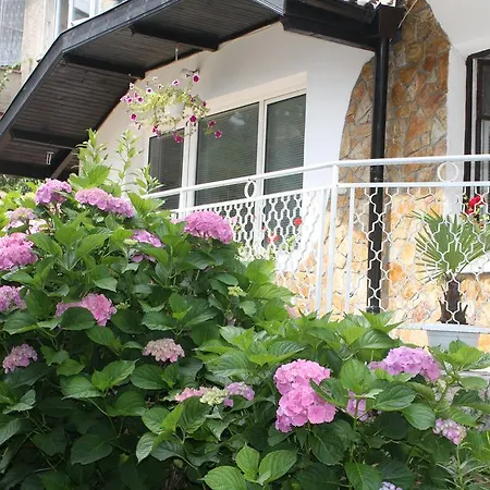Andro Apartamento Sofía